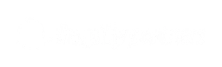Shopify Partners